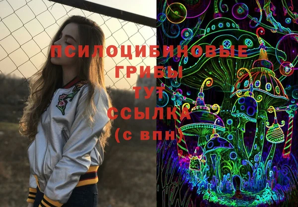 дживик Алексин