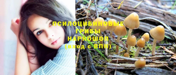 кокс Алексеевка