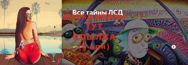 дурь Алзамай