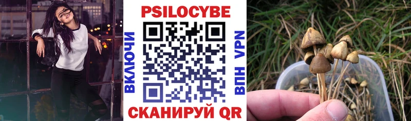 продажа наркотиков Суджа Галлюциногенные грибы мухоморы